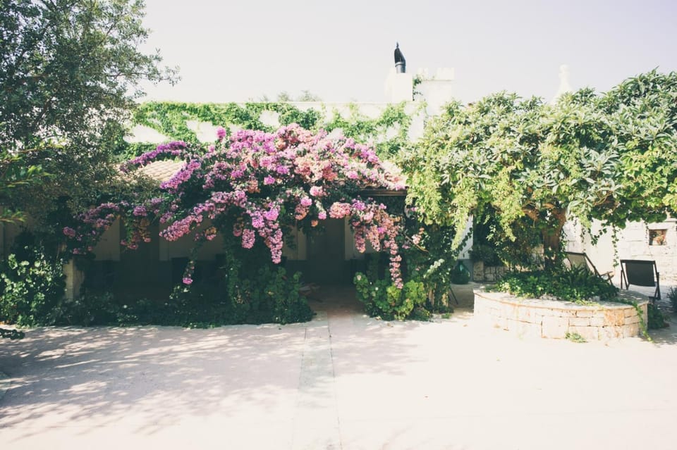 Garden, Garden view