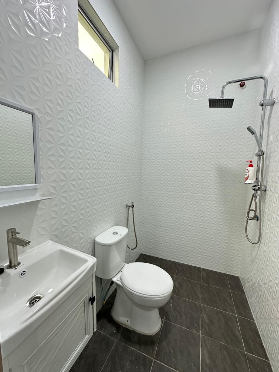 Shower, Toilet, bidet