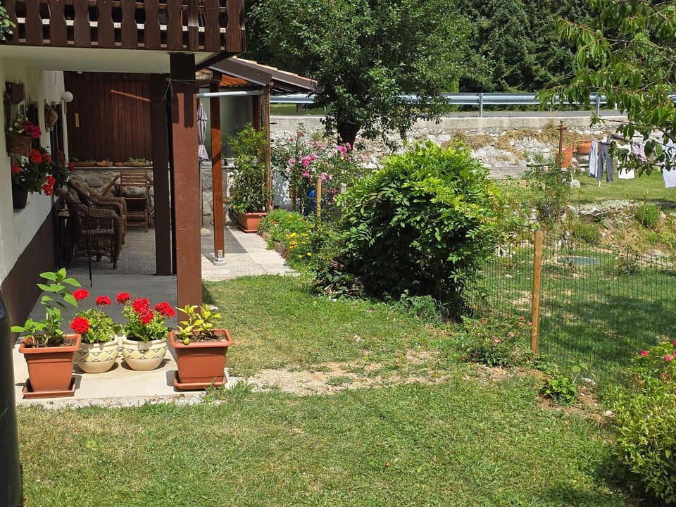 Apartma Dajana Apartment in Slovenia