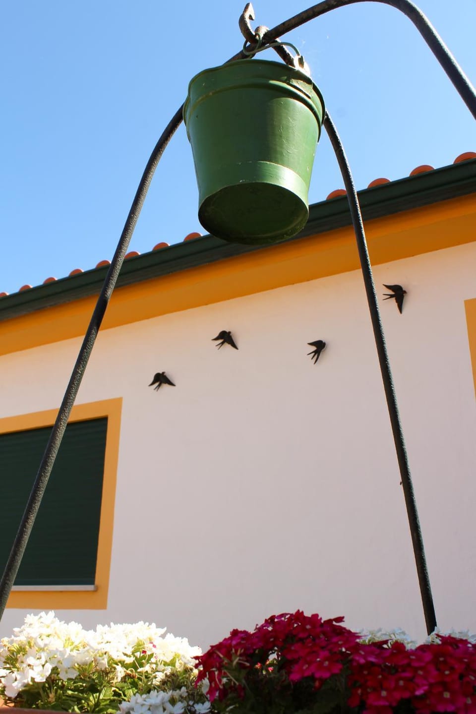Casa das Andorinhas - Turismo Rural - Nazaré Alcobaça Bed and Breakfast in Santarém District, Portugal