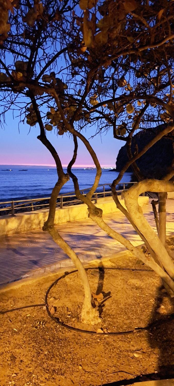 Night, Neighbourhood, Natural landscape, Sunset
