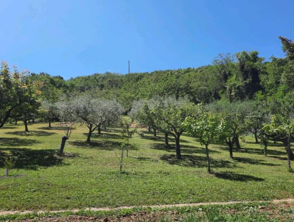 Casa Vacanze Stefania House in Marche