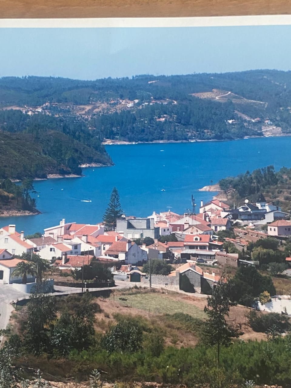 Lake view