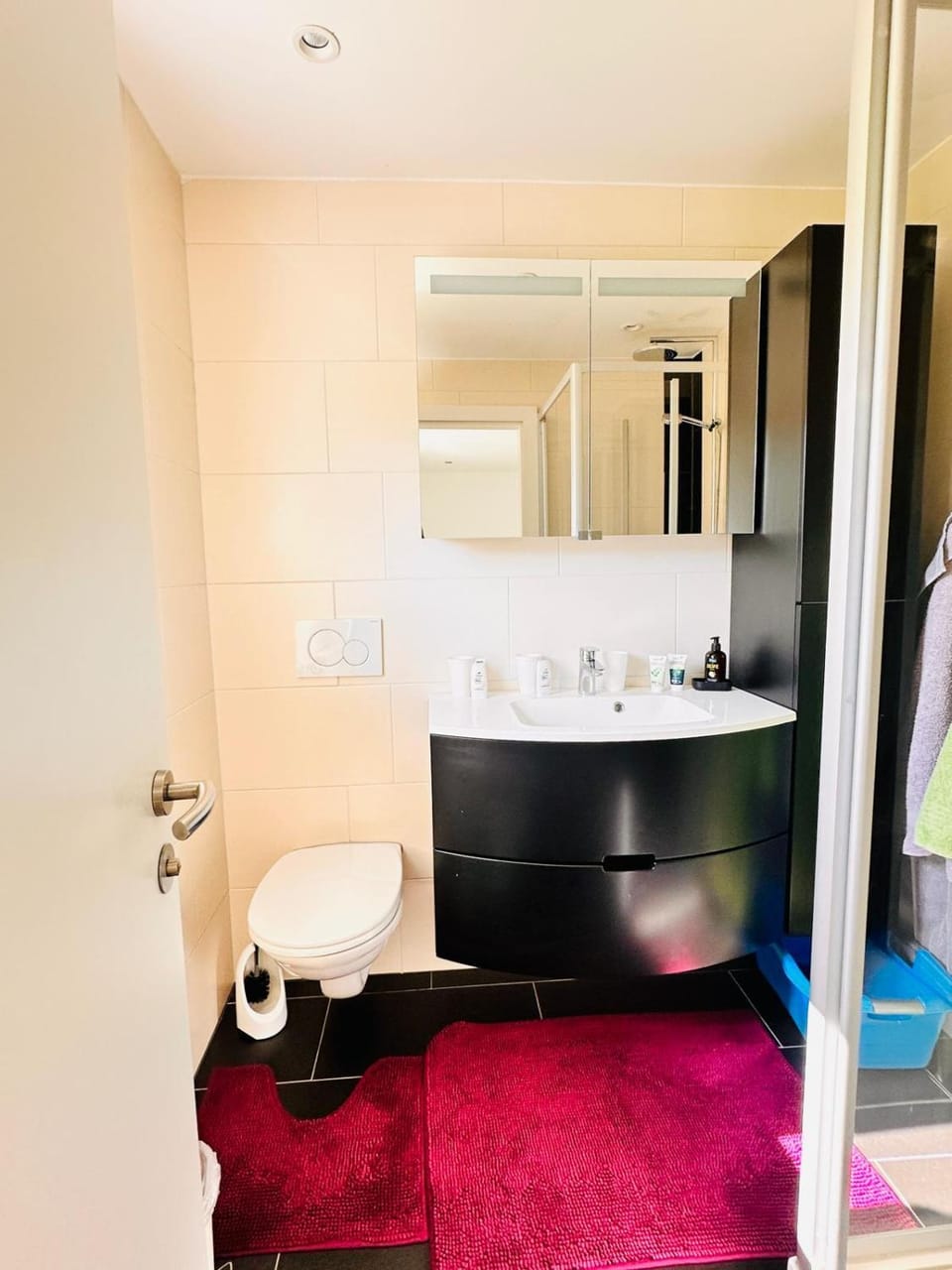 Appartement Traunsteinblick Apartment in Altmünster