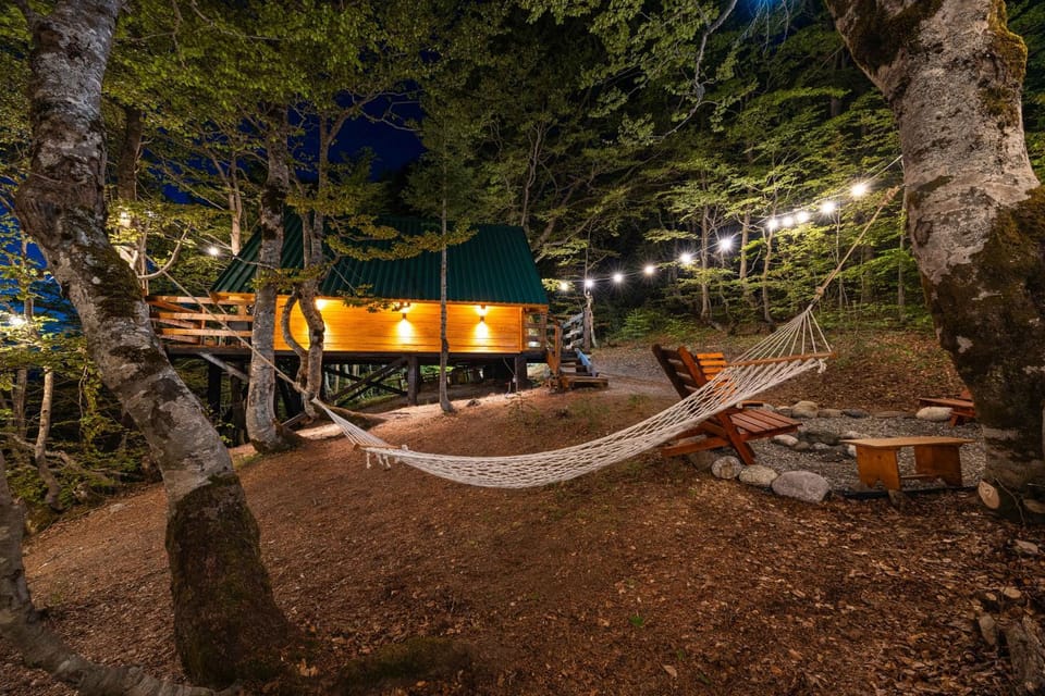 Night, Natural landscape, Garden, Garden view