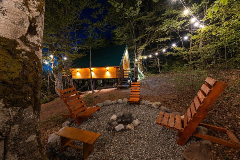 Property building, Patio, Night, Natural landscape, Garden, Garden view