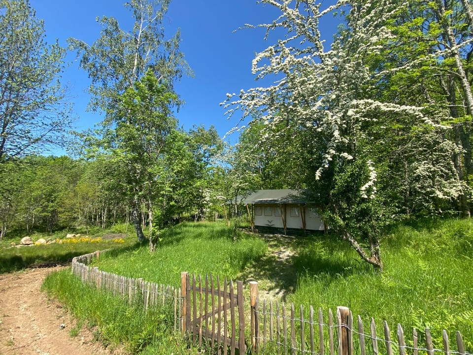 Tente Lodge en pleine nature Luxury tent in Auvergne-Rhône-Alpes