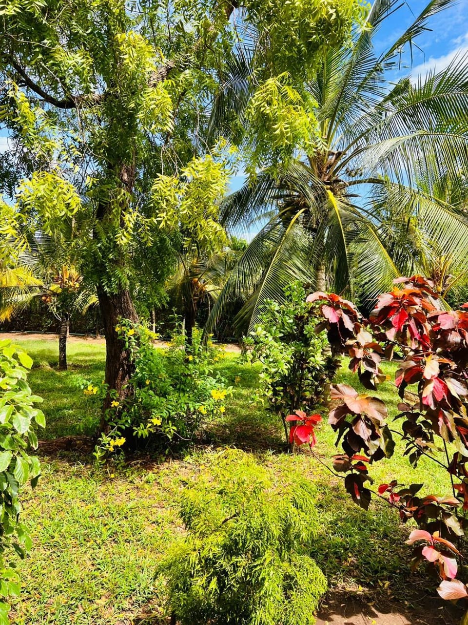 Rayoh Villa Sultan Kikambala House in Kenya