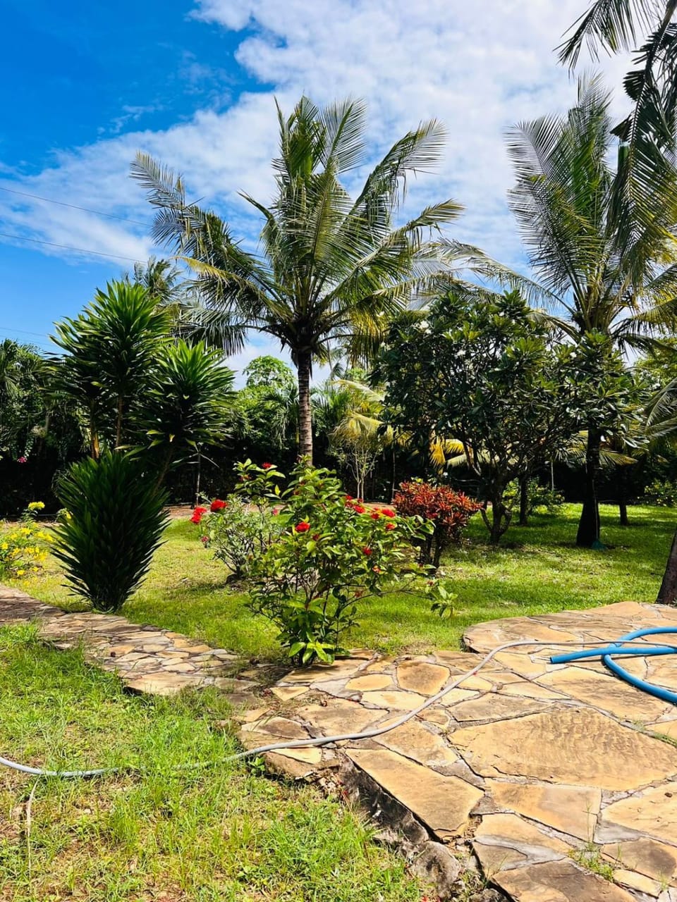 Rayoh Villa Sultan Kikambala House in Kenya