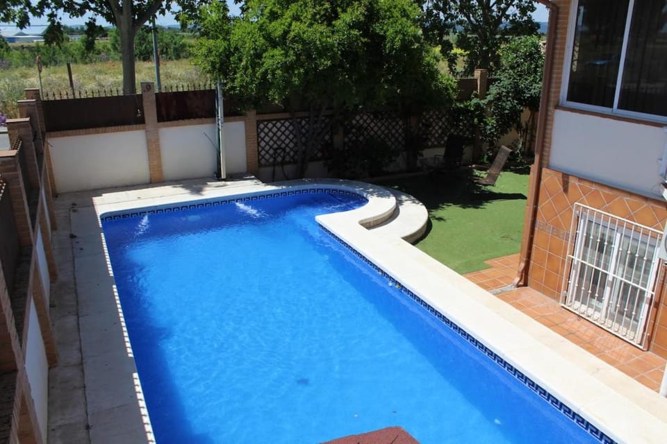 Garden, Swimming pool
