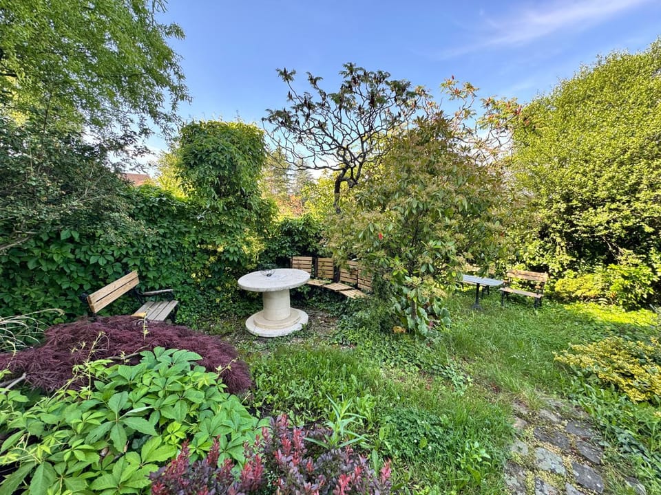 Natural landscape, Garden