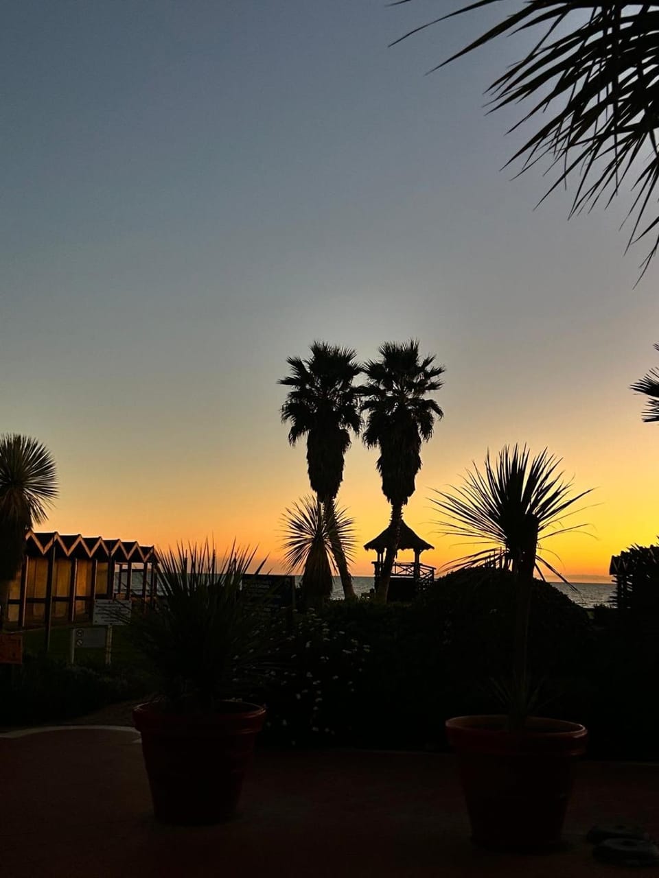 Sunset