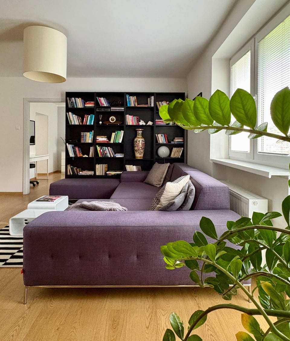 Library, Living room, Seating area