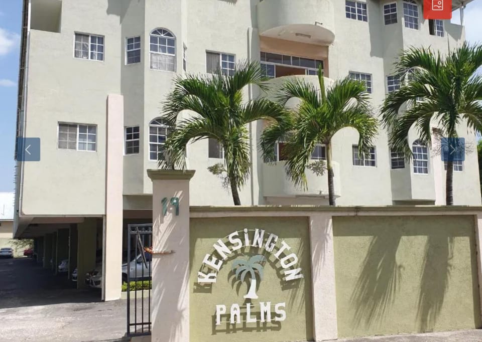 Budget Apartment Near New Kingston Apartment in Kingston