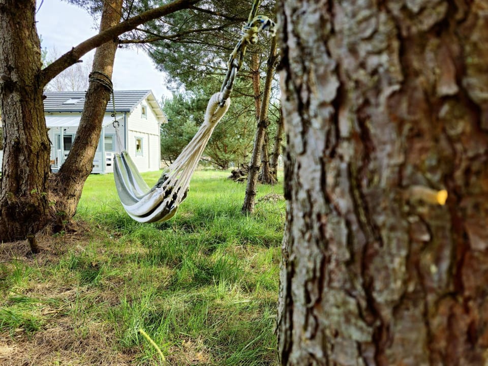 Day, Natural landscape, Garden