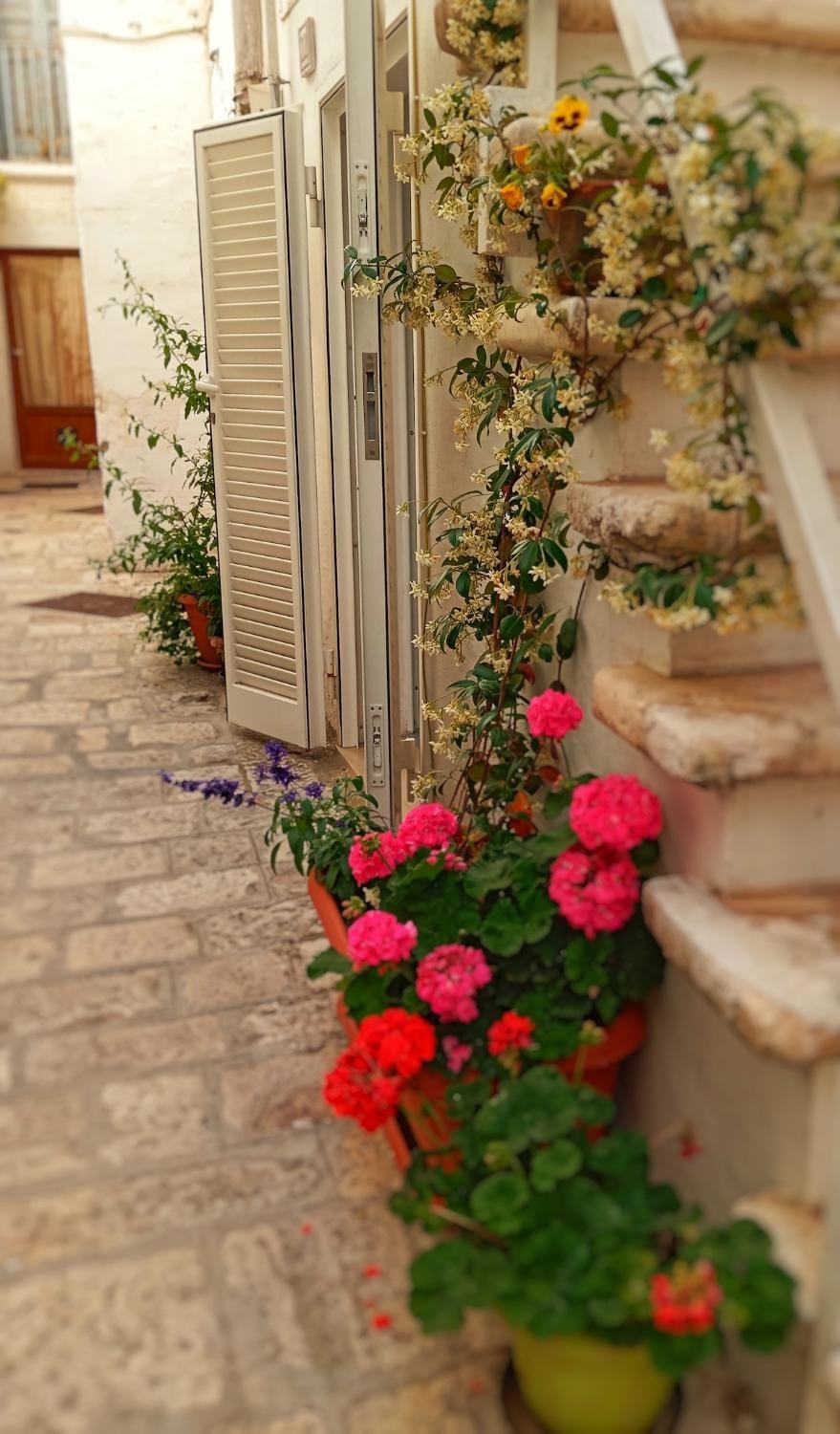 Microcasa Antica Jos House in Martina Franca