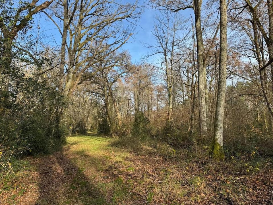 Spring, Day, Natural landscape