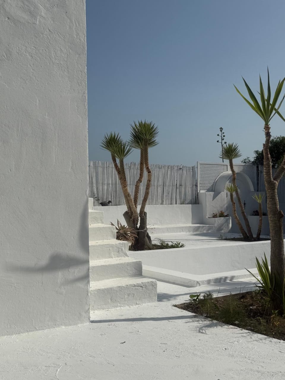 Patio, Day