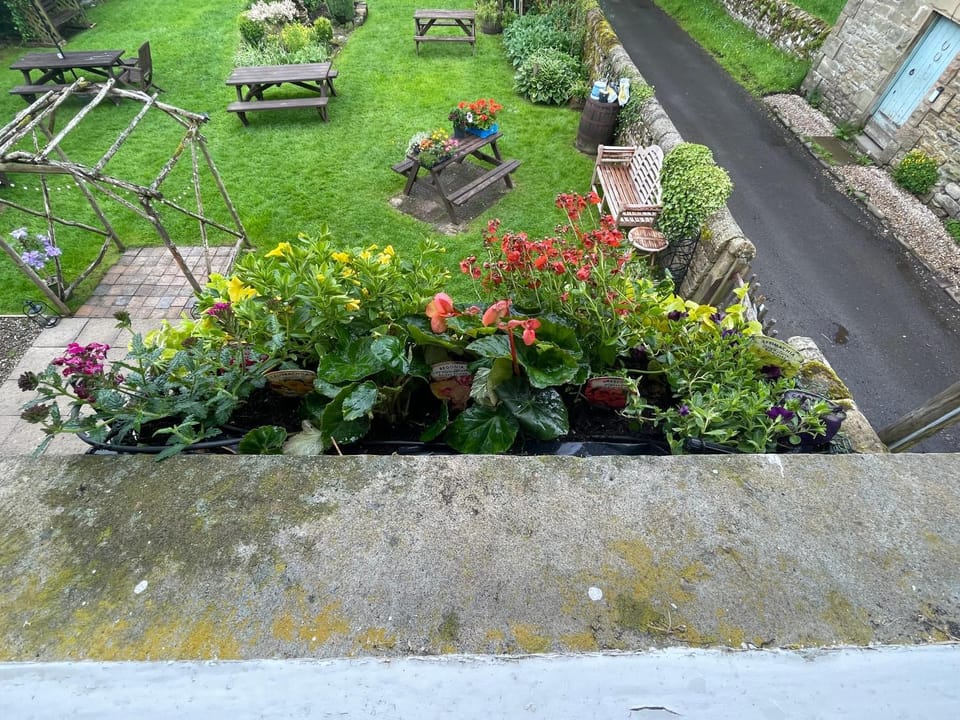 Spring, Garden, Garden view