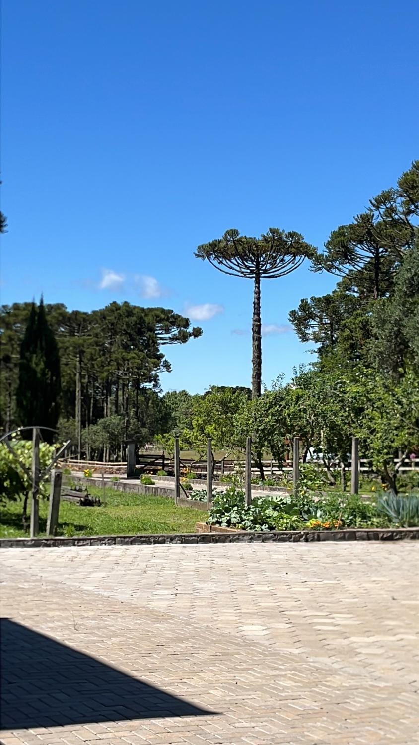 Pousada Encanto Verde Nature lodge in State of Santa Catarina