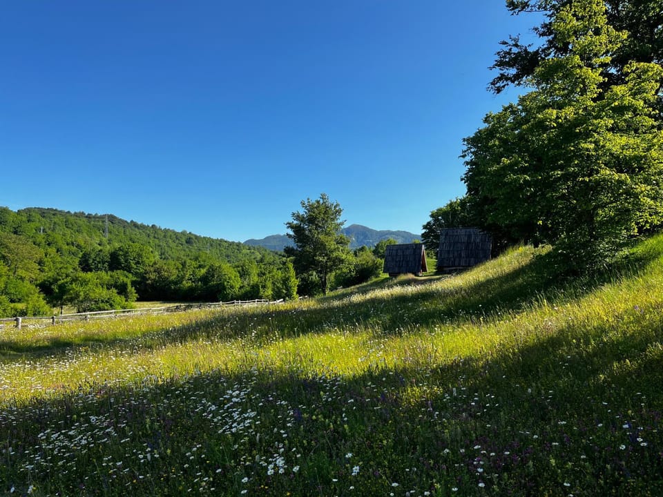 Natural landscape