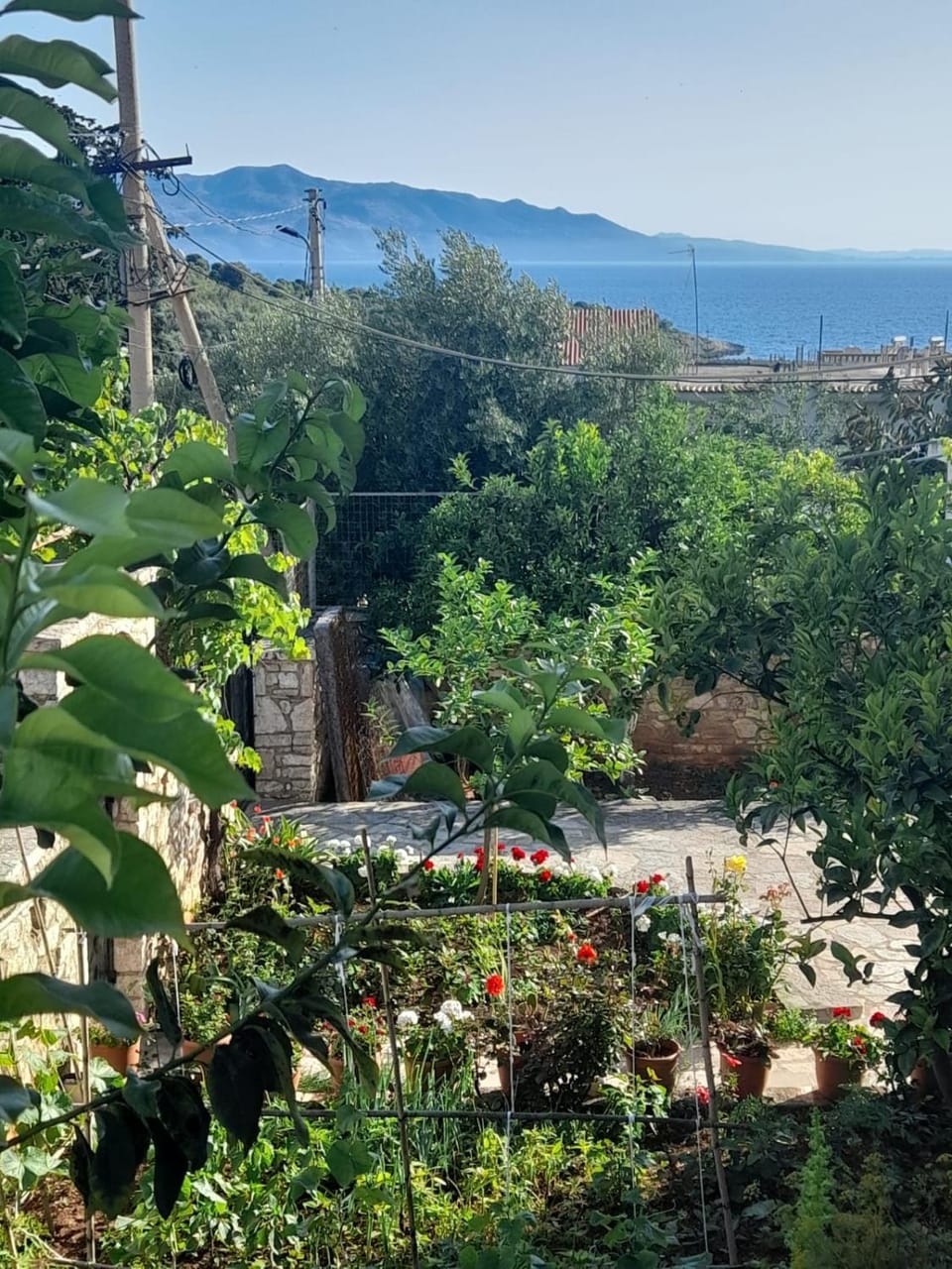 Flor Apartament Apartment in Sarandë