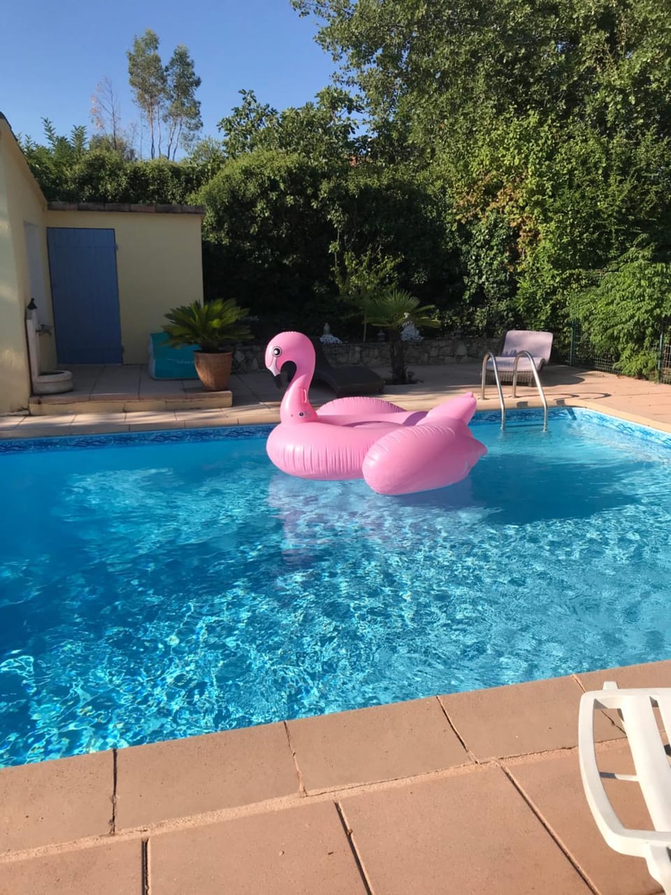 Pool view