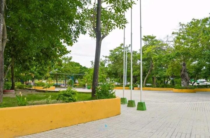 Day, Neighbourhood, Natural landscape