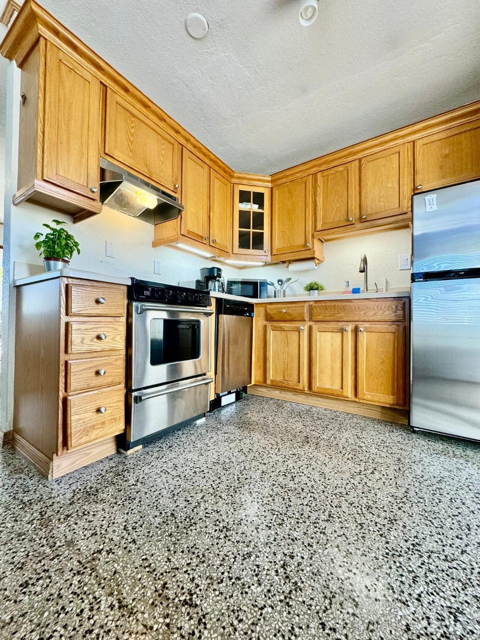 Kitchen or kitchenette, dishwasher, stove, toaster