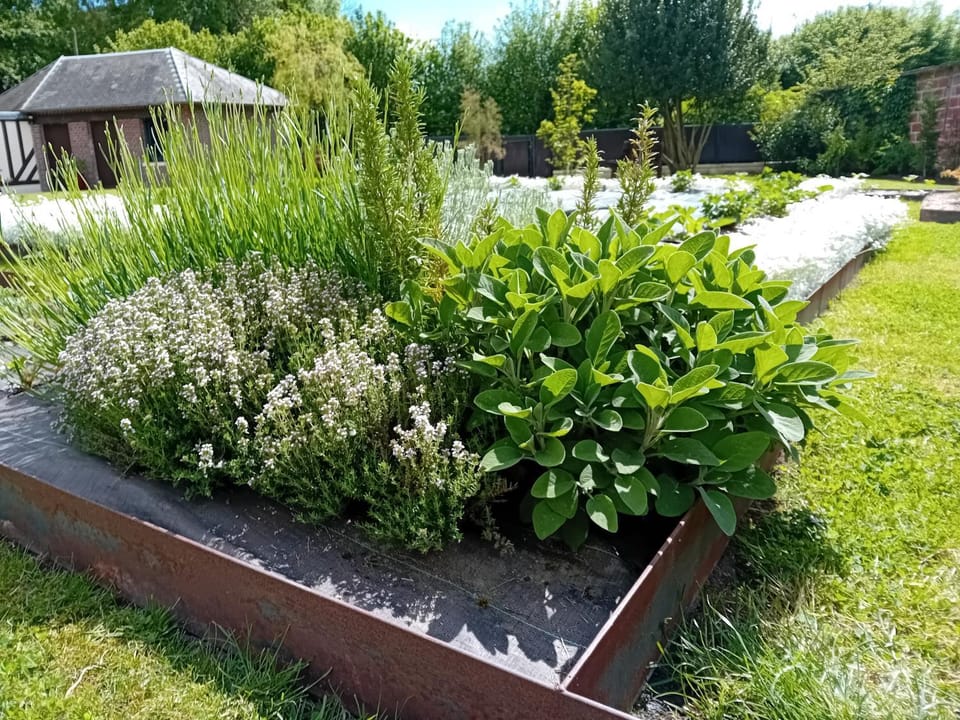 Garden view