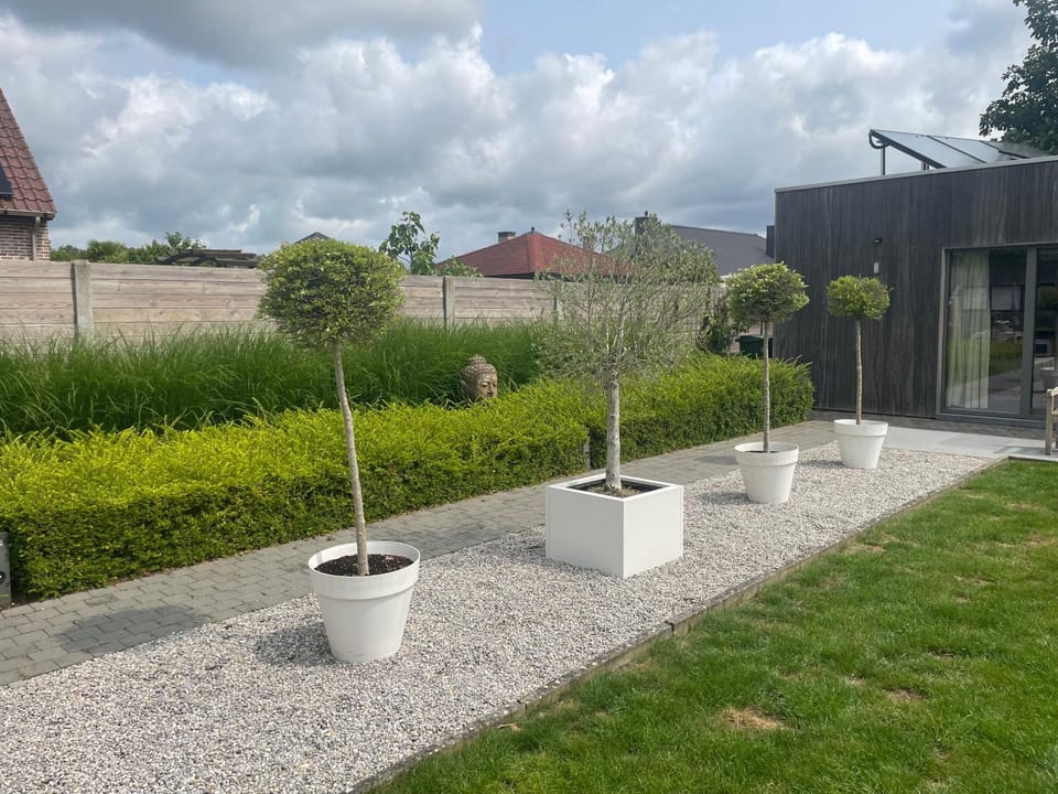 Garden, Garden, Garden view