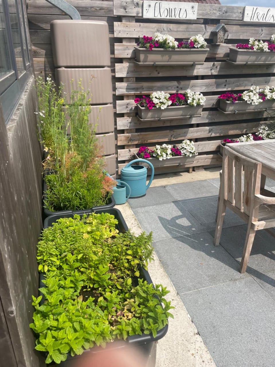 Spring, Day, Garden view