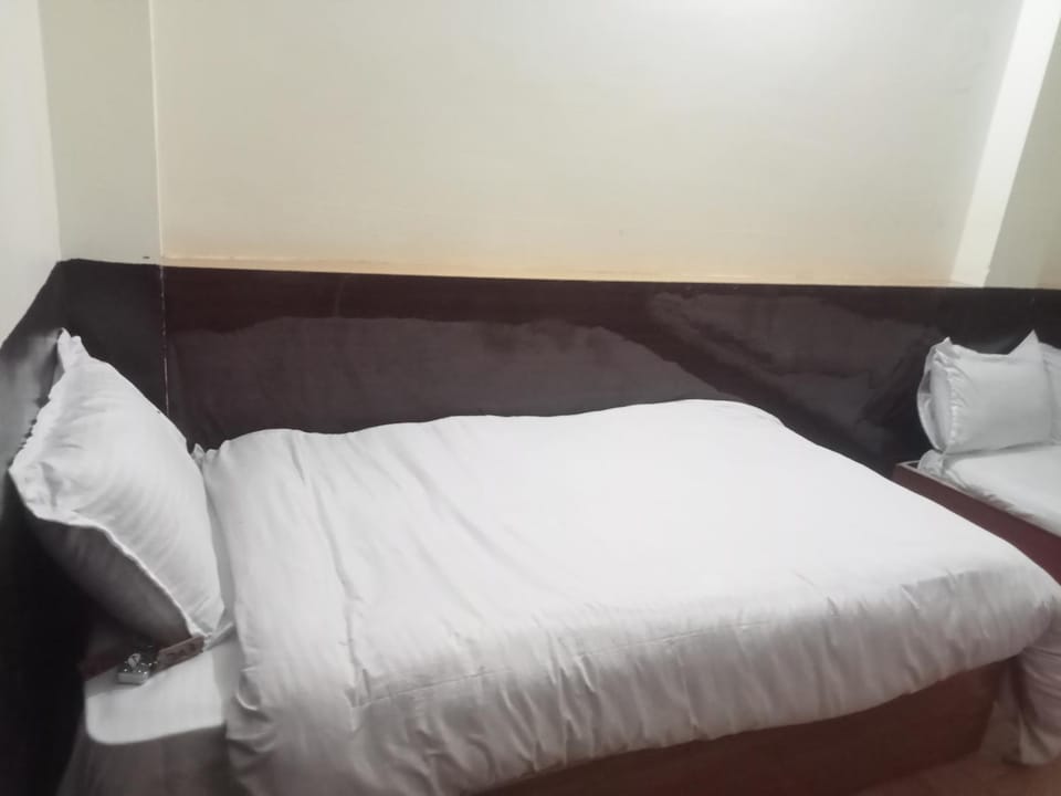 Sky hotel plaza1 Bed and Breakfast in Nepal