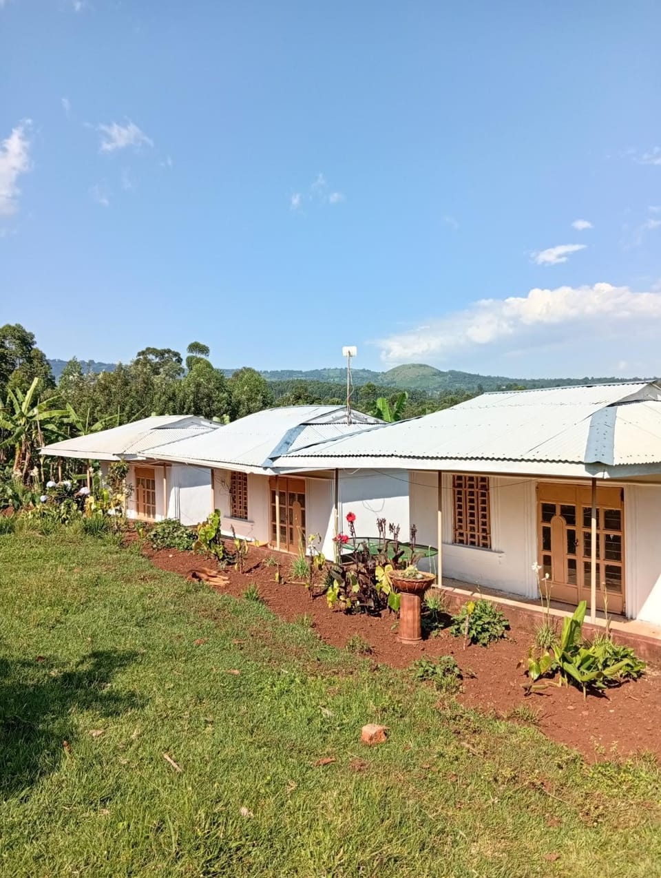 Property building, Natural landscape, Garden, Garden view