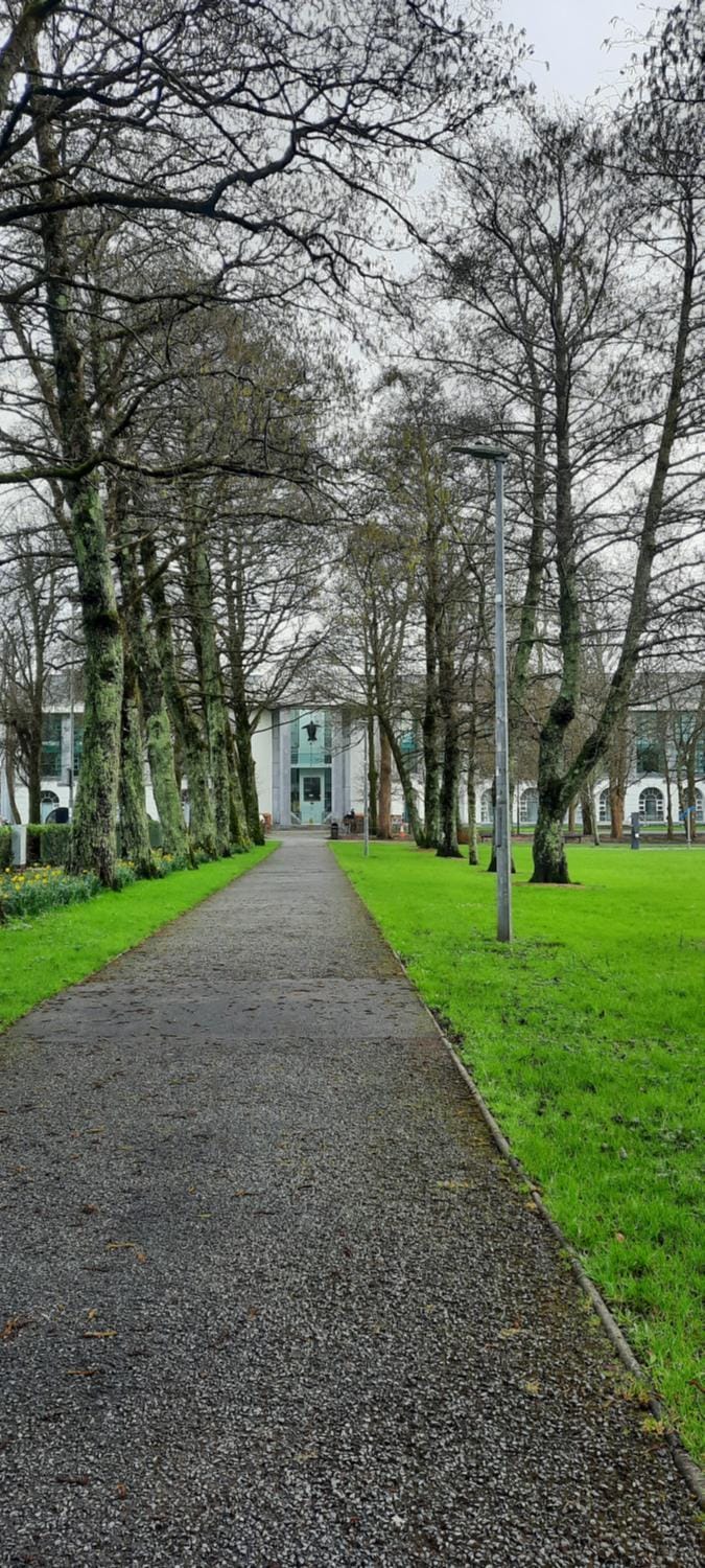 Natural landscape, Garden view