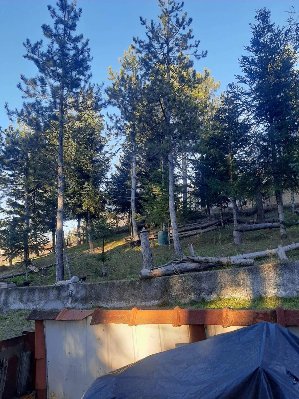 Country destination in mountainous Trikala! House in Greece