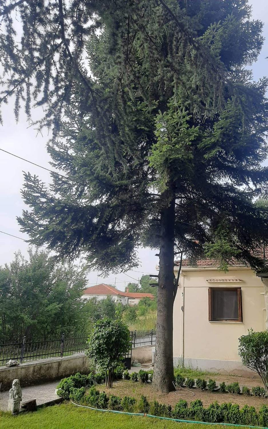 Country destination in mountainous Trikala! House in Greece