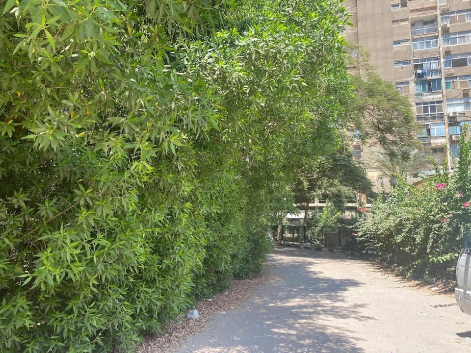 Unique studio in maadi Apartment in Cairo Governorate