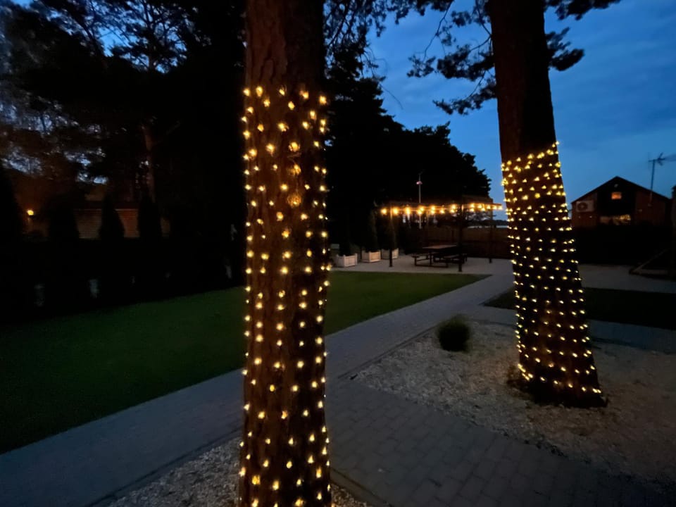 Night, Garden view