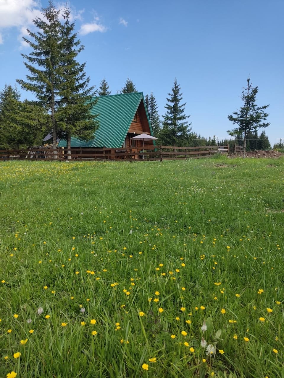 Holiday chalet Asterix Chalet in Montenegro