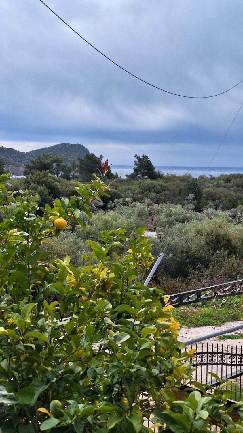 Balcony/Terrace, Mountain view, Sea view