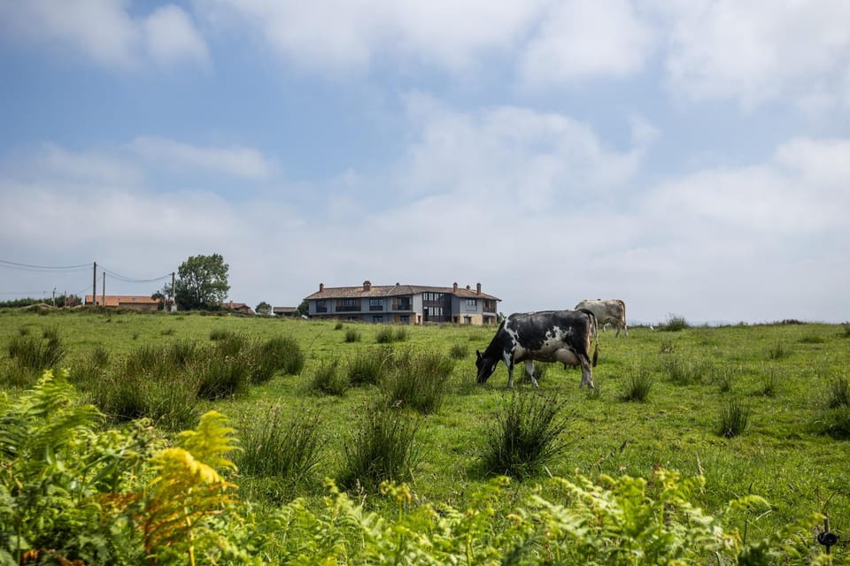 Rural Villa with Sea Views Villa in Asturias