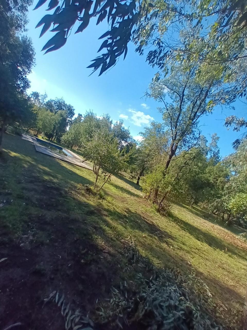 Garden, Garden view