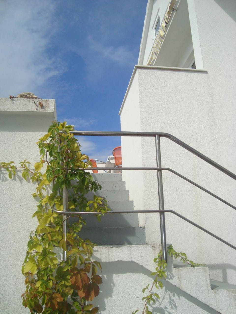 Cvita Apartment Apartment in Murter