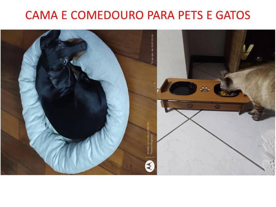Pets