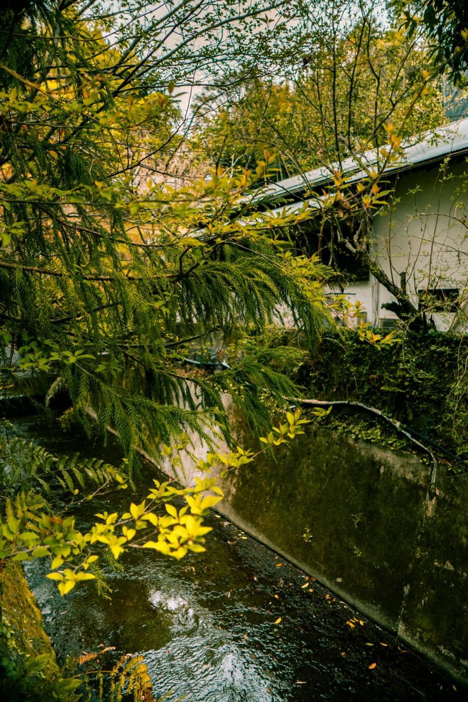 Property building, River view