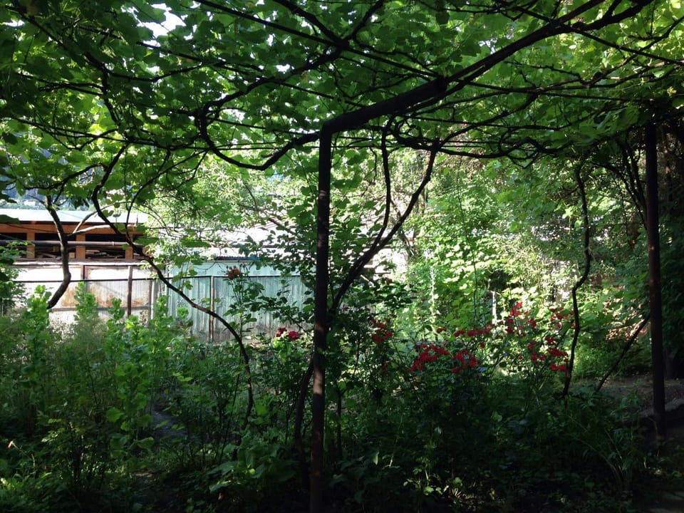 Other, Garden view