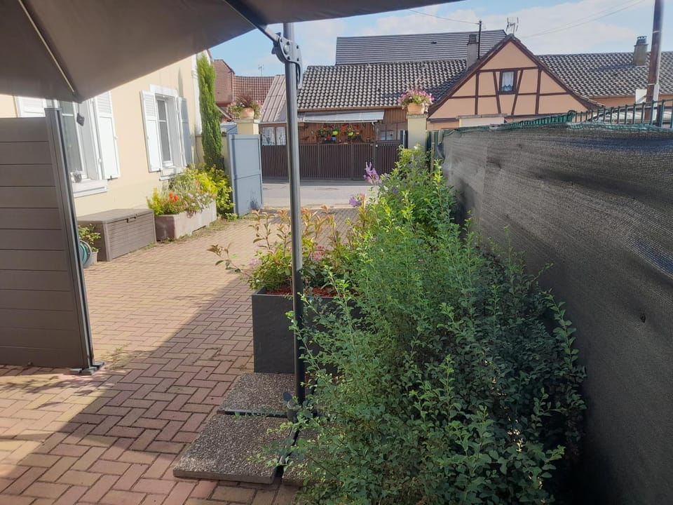 Garden view