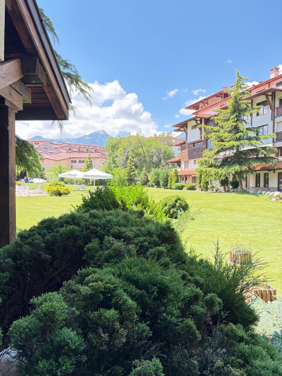 Eleonor Mountain Apartment 2 Apartment in Bansko