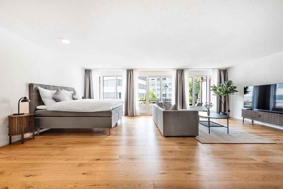 CITY-LOFT 2 !Gratis parken, Free parking! Apartment in Schaffhausen